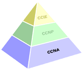 Cisco CCNA & CCNP Certification Training